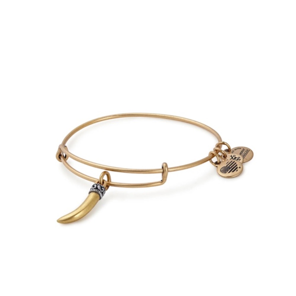 Alex and Ani horn vitality bracelet - worn handful of times